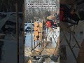 A Multi Level Steel Frame For Bulk Firewood Cutting