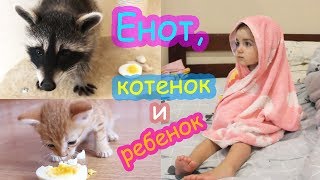 VLOG Лимон, Батон и Алиса. Как мы проводим день без Насти, Кати и Кости