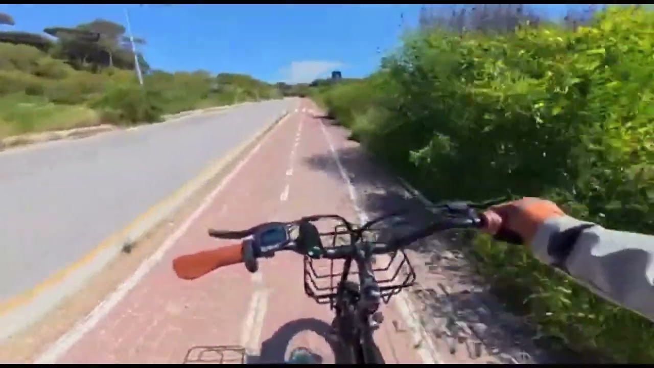 Kickwey LD20 Adult Electric Bike 1500w 32MPH 48V20ah Mountain Elect