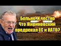 Больно. И честно. Что Жириновский предрекал ЕС и НАТО?