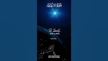 من هو الله؟(بديع السماوات والارض) #قران_كريم #سورة_الأنعام #ياسر_الدوسري #قران #quran