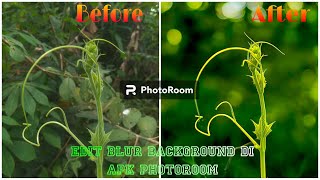 EDITING BLUR BACKGROUND IN PHOTOROOM APP #photography #smartphone #editing screenshot 3