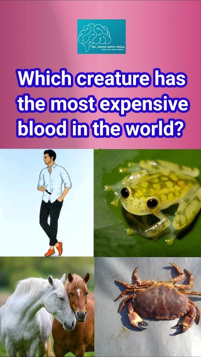 A Quick Knowledge Quiz Which Creature Has The Most Expensive Blood In a-quick-knowledge-quiz-which-creature-has-the-most-expensive-blood-in
