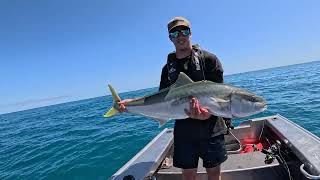 All new Fin Chaser  385 T - Is this the most affordable boat on the market? +BIG  Kingfish