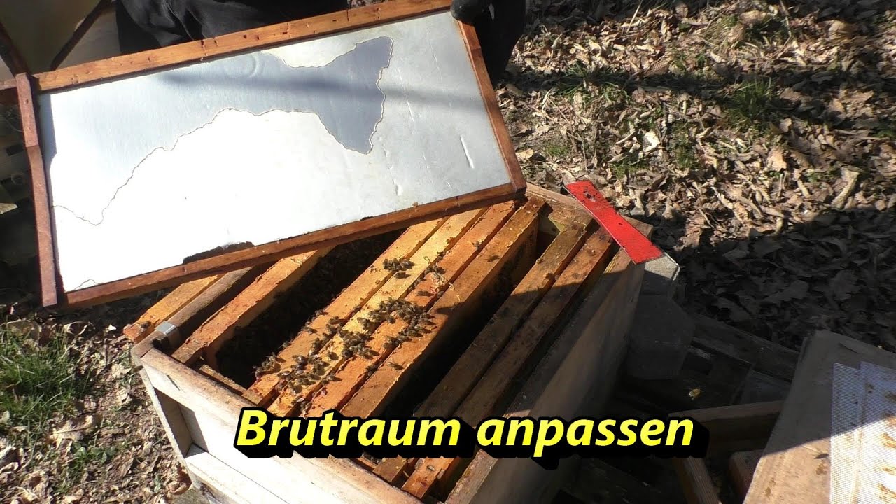 Brutraum anpassen