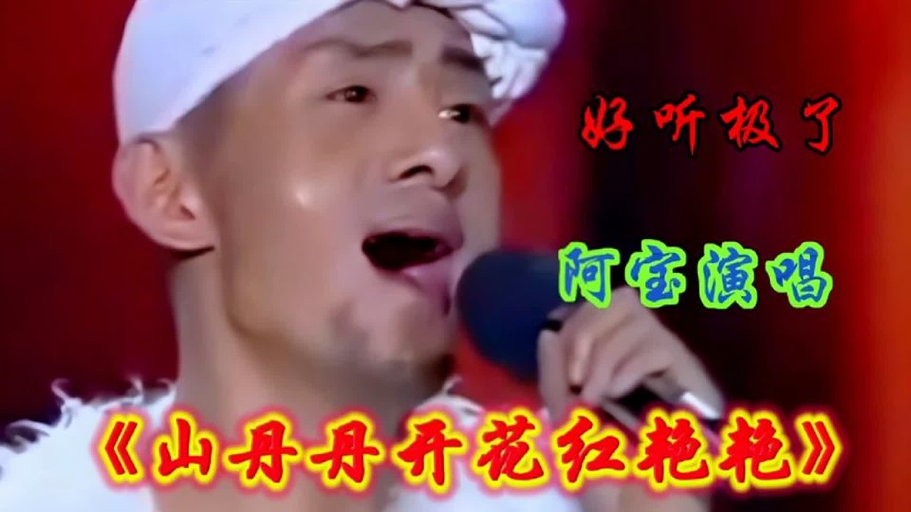 阿宝演唱《山丹丹开花红艳艳》独特的嗓音，独特的风格，百听不厌