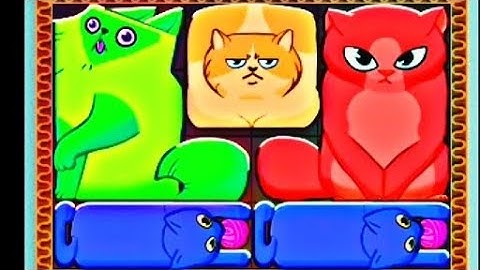 NOOB vs PRO vs HACKER- Puzzle Cats
