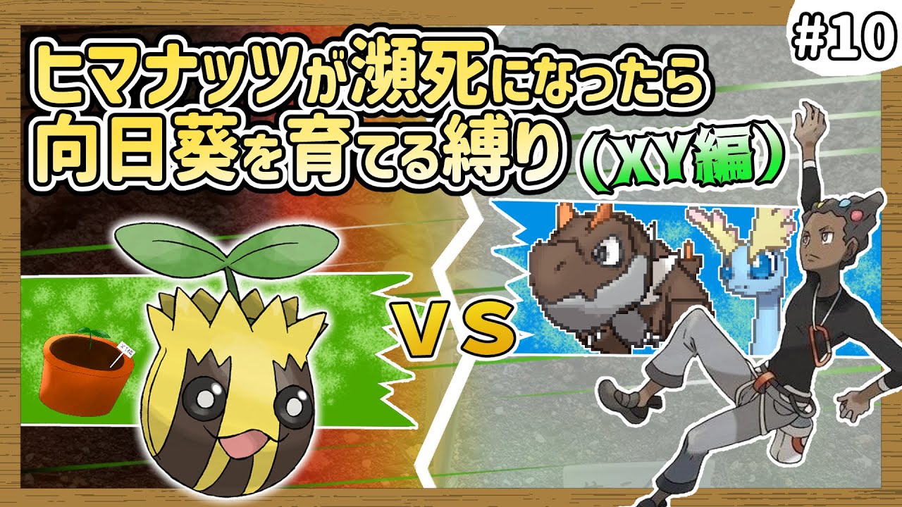 Pokemon XY] Every time Sunkern faints, I have to grow sunflowers