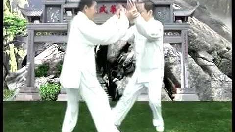1- Peng lu ji an in pushing hand