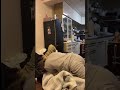寝てる彼女のおしりに顔を突っ込んでみた 寝てる彼女のおしりに顔を突っ込んでみた