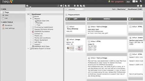 Typo3 - Website Organization - The Page Tree