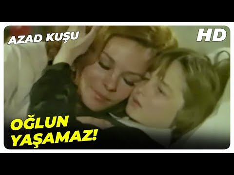 Azad Kuşu - Allah'ım Oğlumu Bana Bağışla! | Tarık Akan Eski Türk Filmi