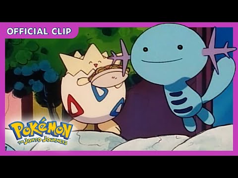 Wonderful, Mischievous Wooper