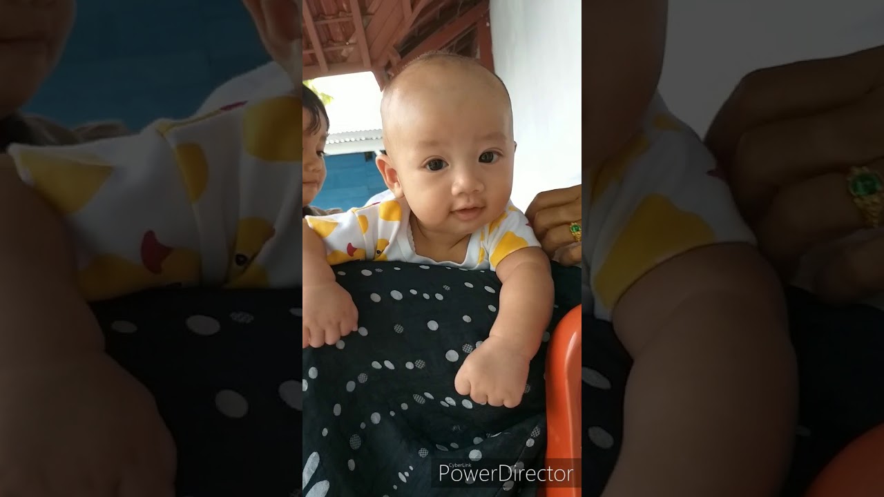  Bayi  lucu  YouTube