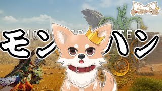 【モンスターハンターワイルズ】 参加型！まったりハンターランク上げる【Monster Hunter Wilds】