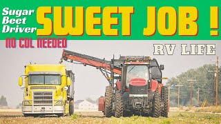 Sweet Job for Full Time RVers - Sugarbeet Harvest Driver by Natural State Rebels 603 views 6 months ago 8 minutes, 36 seconds