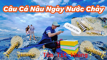 Câu Cá Nâu Ngày Nước Chảy Sóng Lớn!@Longvlog86