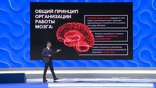 доктор Андрей Курпатов - у мозга есть мы