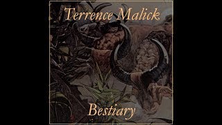 #82. Terrence Malick: Bestiary