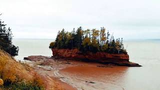 Burntcoat Head Park Nova Scotia Time Lapse  Low Tide to High