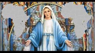 Image of Virgin Mary appears in Africa, is it a WARNING? HD video