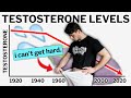 The Testosterone Epidemic