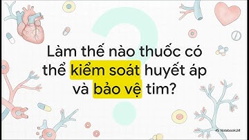 Ôn tập: Những nhóm thuốc tim mạch thường gặp - Tóm tắt bằng video dễ hiểu