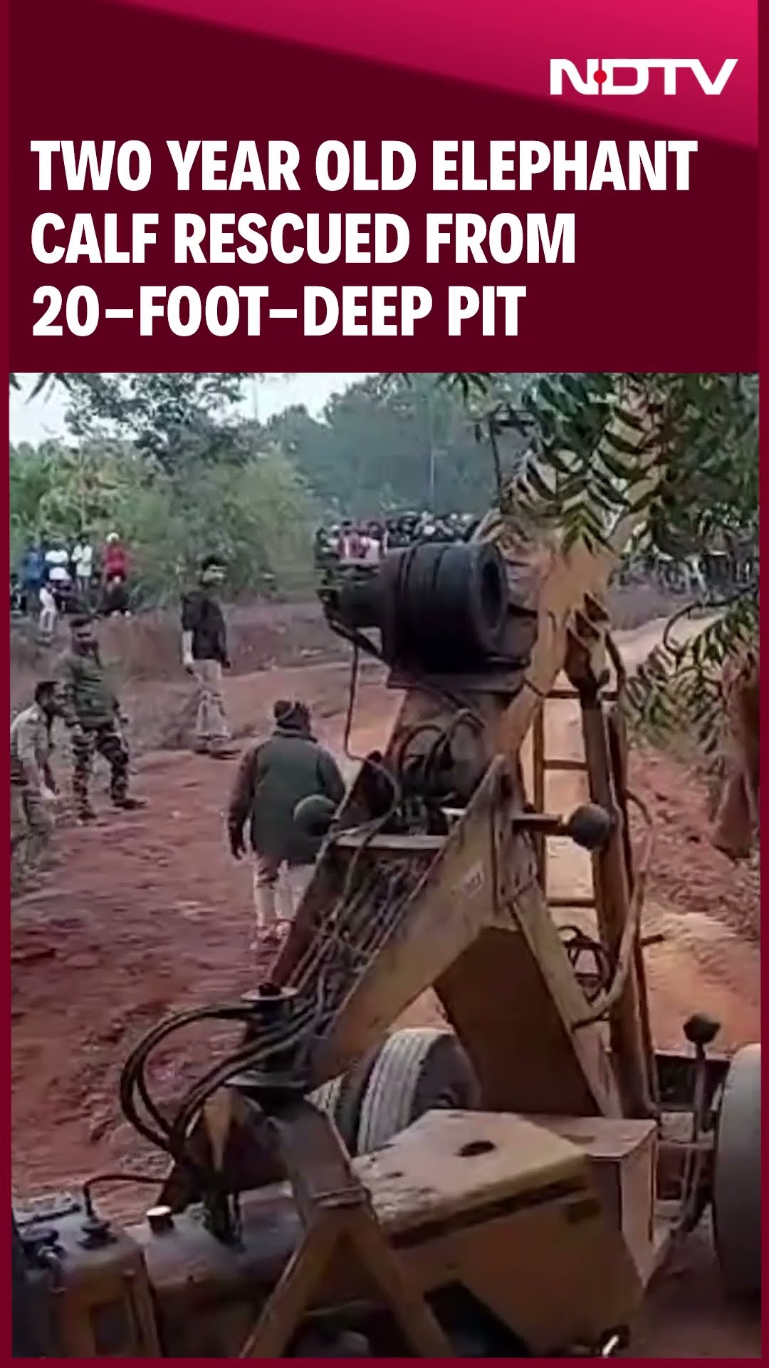 Elephant | Two Year Old Elephant Calf Rescued From 20-foot-Deep Pit From Odisha's Jungle