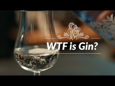 WTF is Gin? Was ist Gin eigentlich &amp; wie trinkt man ihn am besten?