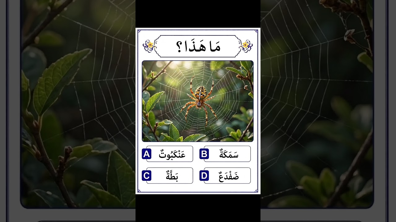 Arabic Q&A #shorts #shortvideo
