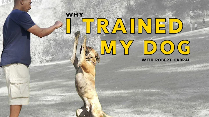 Why I Trained My Dog with Robert Cabral