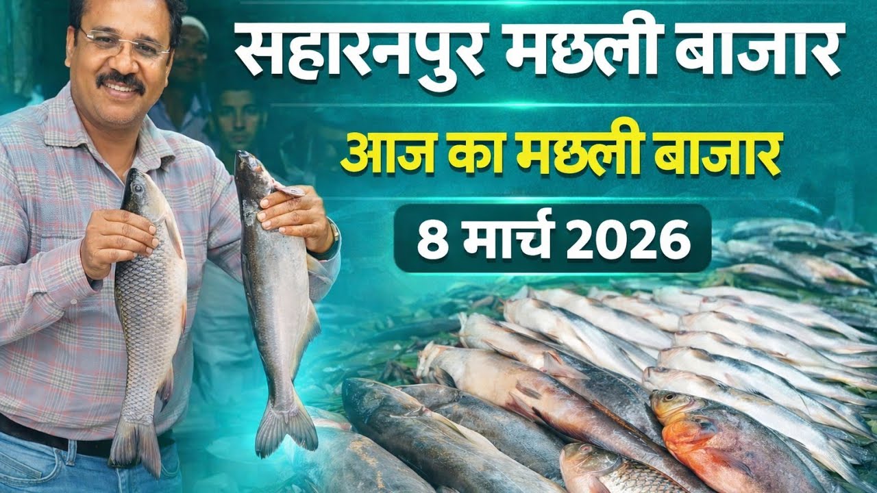Рыбный рынок в Сахаранпуре сегодня | Какая рыба и по какой цене продается | Рыбный рынок Сахаранп...