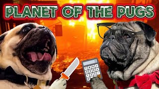 If Pugs Took Over The World! | (Planet of The Pugs!)