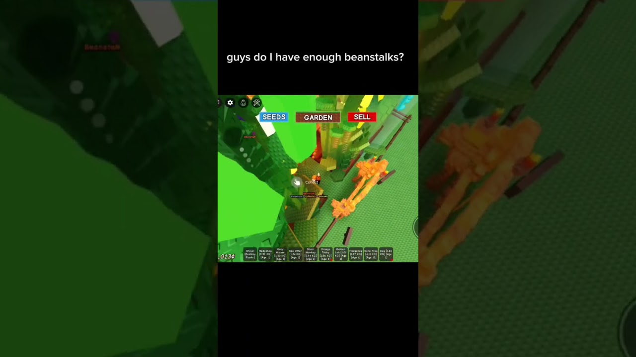 do I need more beanstalks? 