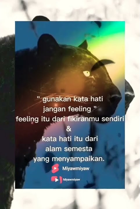 story wa macan kumbang l perbedaan antara feeling dan kata hati #shorts