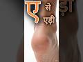 ए से एड़ी 👣 | बच्चों के लिए मजेदार हिंदी वर्णमाला सीखें | A Se Aadi Learning Video 🤩📚 #kidslearning