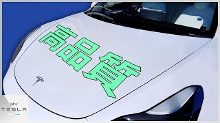 上海製 テスラモデル3の組付け品質が高品質だった【マイナーアップデート箇所も紹介】