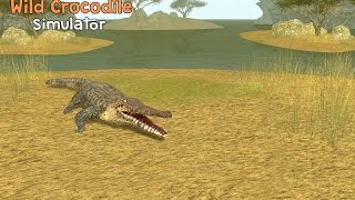 Wild Crocodile Simulator 3D By Turbo Rocket Games - Android / iOS - Gameplay screenshot 2