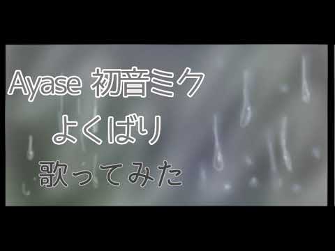 よくばり / 初音ミク(Ayase)【歌ってみた】