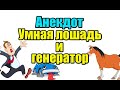 АНЕКДОТ ПРО УМНУЮ ЛОШАДЬ И ГЕНЕРАТОР, СМЕШНОЙ АНЕКДОТ...