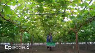 Soul Plate Ep6 Finale english Sub