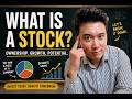 What Is a Stock? | Stock Market Basics for Beginners
