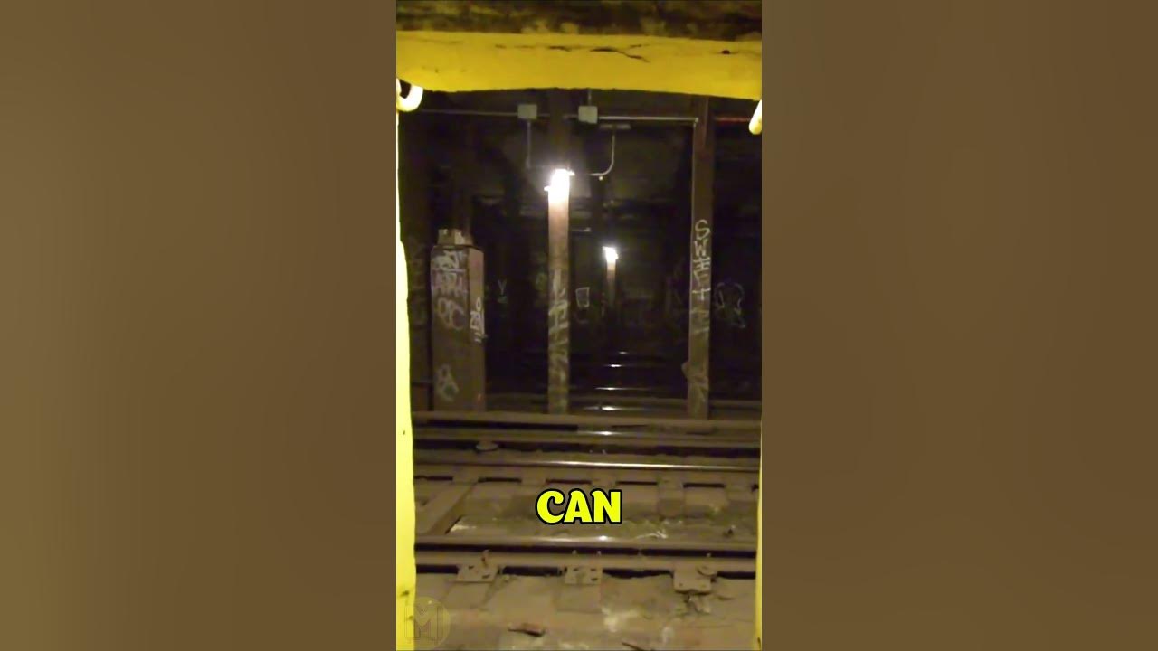 How to Avoid the Train in the Subway Tunnel 🚂