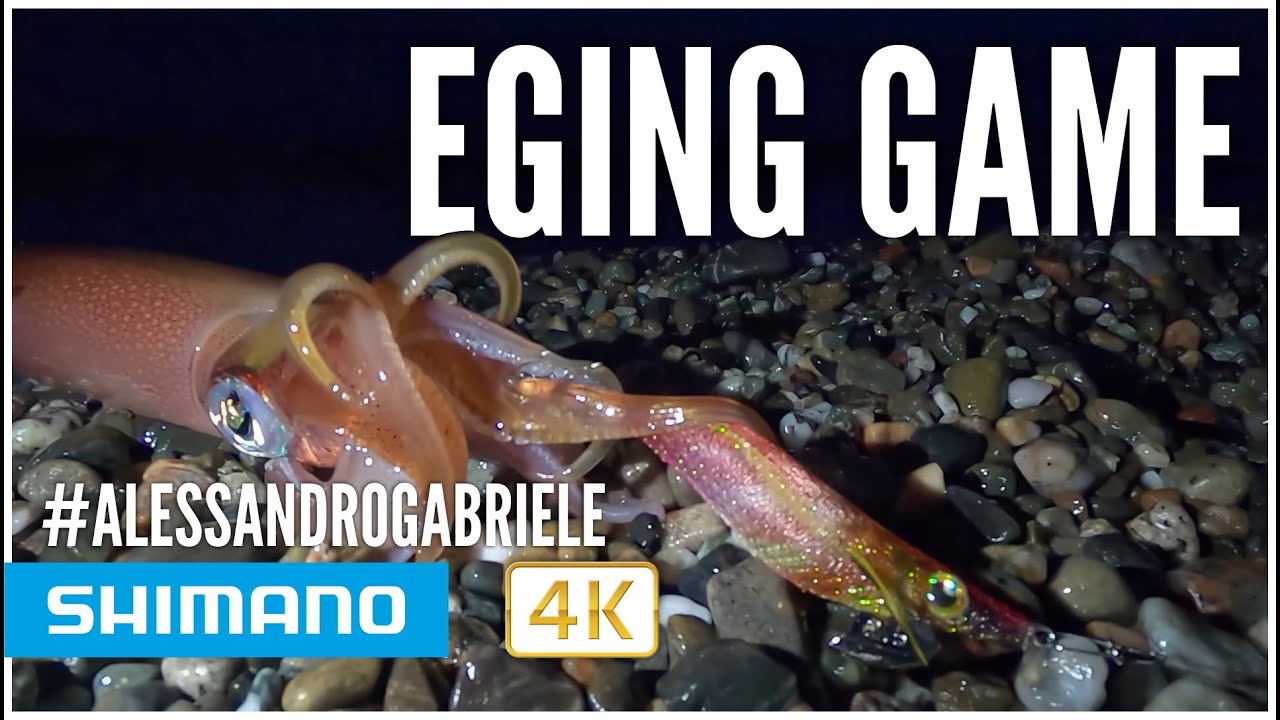 Eging game con i nuovi Shimano Sephia Clinch Flash Boost - Alessandro Gabriele