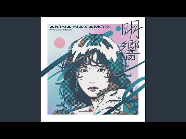 中森明菜さんのStars on Akina Warp Disc 激レア 非売品CD 中森明菜 Stars on Akina Warp Disc