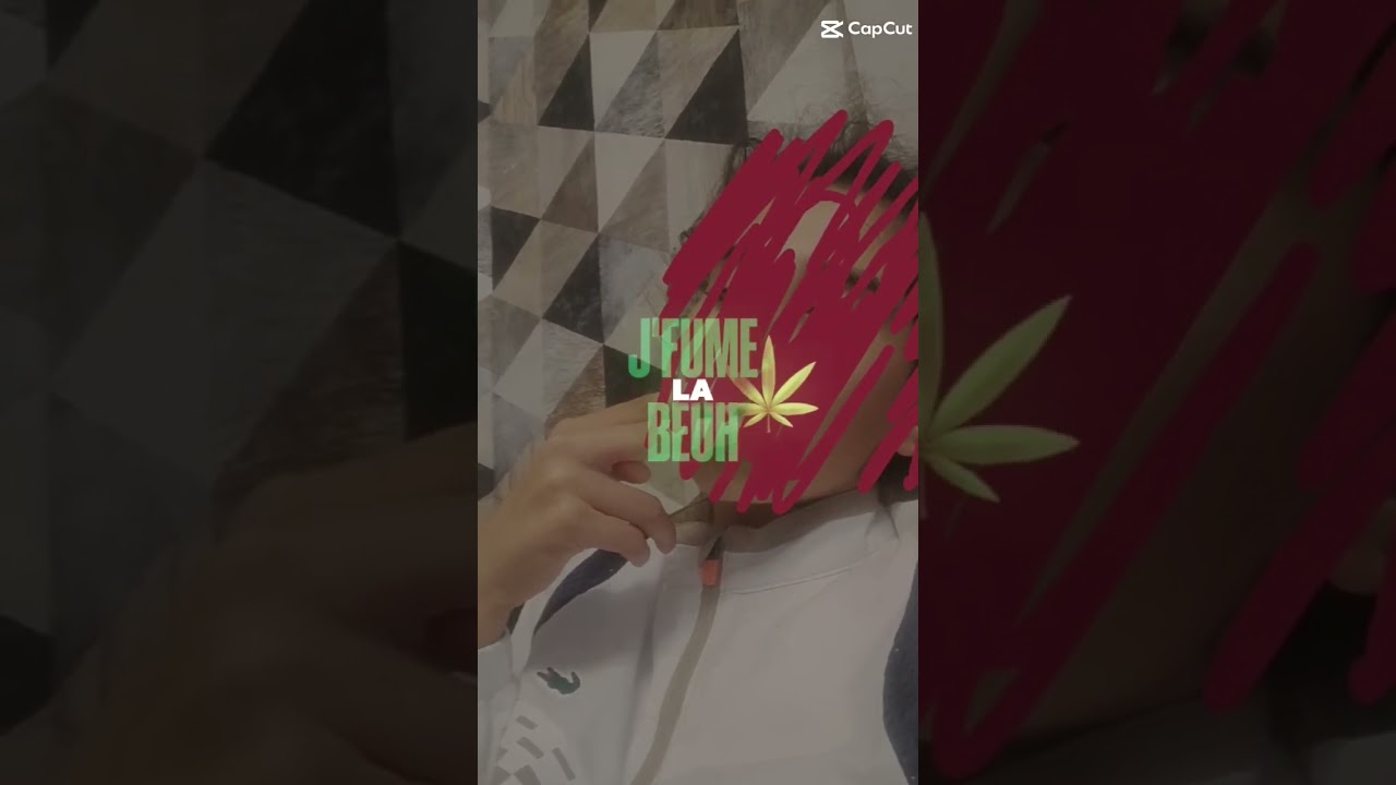 trop bien la nouvelle ref: les racli les racli