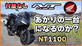 あがりのバイクに選ぶ！Honda NT1100徹底レビュー  NT1100 dct review