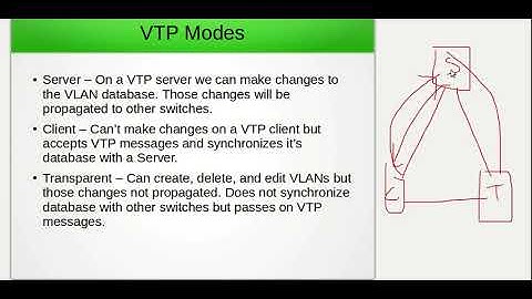 Understanding VTP