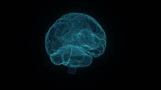 sci fi Hud human brain loop video | Free Video Backgrounds | MD Animated Background