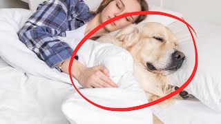 If You Sleep With Your Dog Every Night, THIS Will Happen